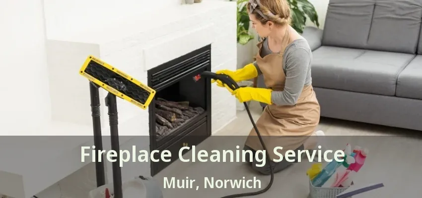 Fireplace Cleaning Service Muir, Norwich - ON