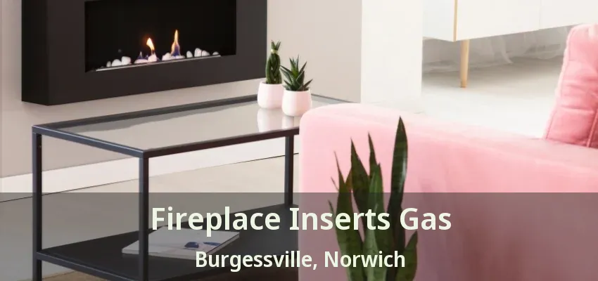 Fireplace Inserts Gas Burgessville, Norwich - ON Fireplace Inserts Gas Burgessville, Norwich - ON