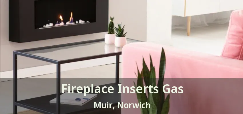 Fireplace Inserts Gas Muir, Norwich - ON Fireplace Inserts Gas Muir, Norwich - ON