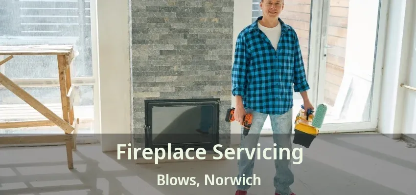 Fireplace Servicing Blows, Norwich - ON