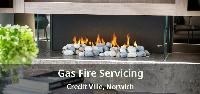 Gas Fire Servicing Credit Ville, Norwich - ON Gas Fire Servicing Credit Ville, Norwich - ON