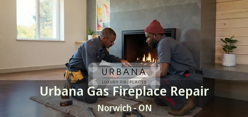 Urbana Gas Fireplace Repair Norwich - ON