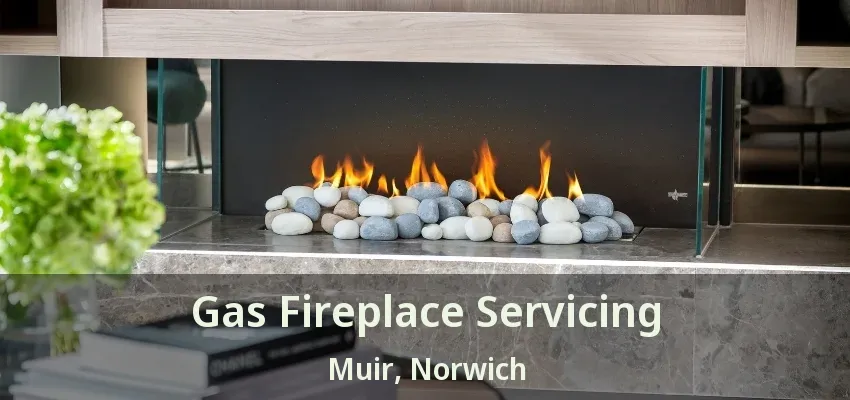 Gas Fireplace Servicing Muir, Norwich - ON Gas Fireplace Servicing Muir, Norwich - ON
