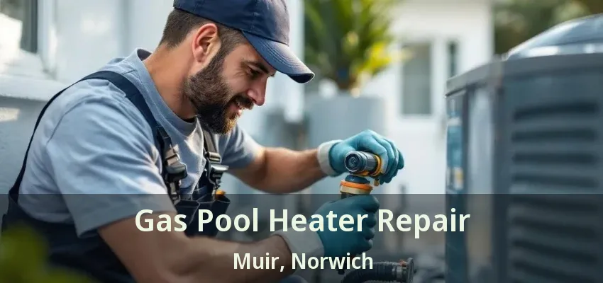 Gas Pool Heater Repair Muir, Norwich - ON Gas Pool Heater Repair Muir, Norwich - ON