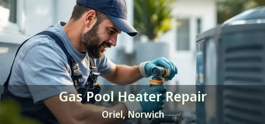 Gas Pool Heater Repair Oriel, Norwich - ON Gas Pool Heater Repair Oriel, Norwich - ON