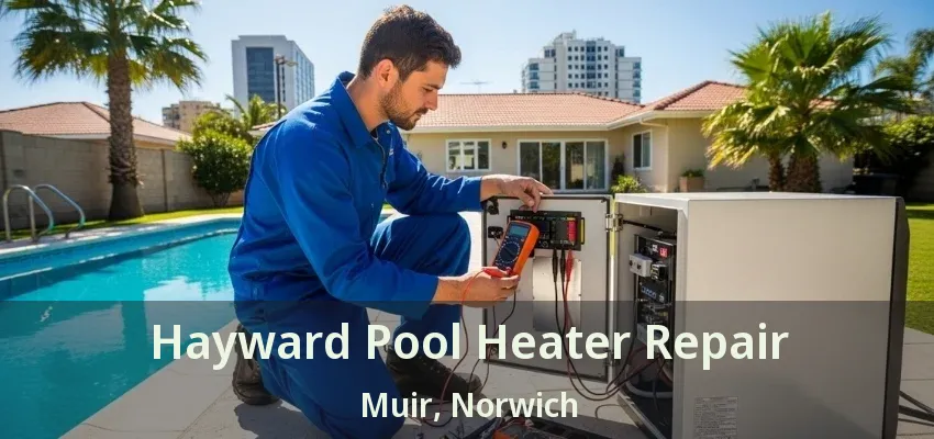 Hayward Pool Heater Repair Muir, Norwich - ON Hayward Pool Heater Repair Muir, Norwich - ON