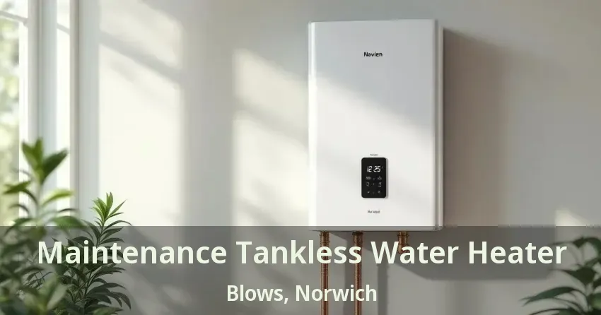 Maintenance Tankless Water Heater Blows, Norwich - ON Maintenance Tankless Water Heater Blows, Norwich - ON