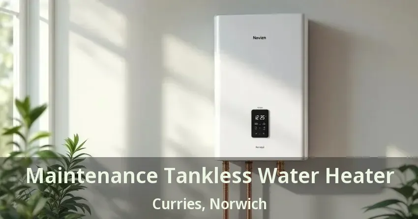 Maintenance Tankless Water Heater Curries, Norwich - ON Maintenance Tankless Water Heater Curries, Norwich - ON