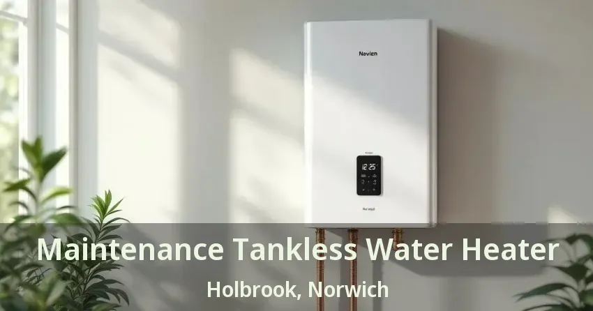 Maintenance Tankless Water Heater Holbrook, Norwich - ON Maintenance Tankless Water Heater Holbrook, Norwich - ON