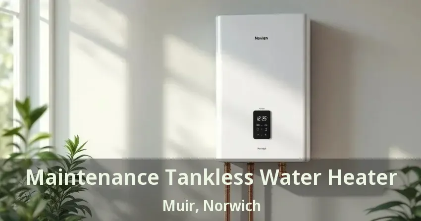 Maintenance Tankless Water Heater Muir, Norwich - ON Maintenance Tankless Water Heater Muir, Norwich - ON