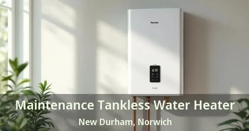 Maintenance Tankless Water Heater New Durham, Norwich - ON Maintenance Tankless Water Heater New Durham, Norwich - ON