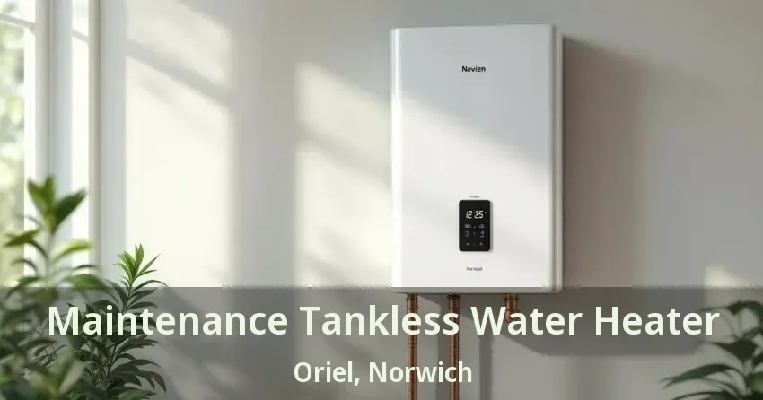 Maintenance Tankless Water Heater Oriel, Norwich - ON Maintenance Tankless Water Heater Oriel, Norwich - ON