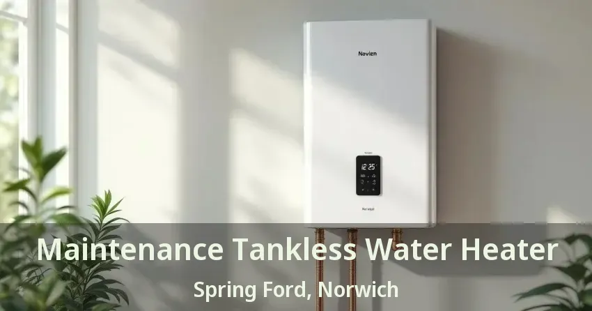 Maintenance Tankless Water Heater Spring Ford, Norwich - ON Maintenance Tankless Water Heater Spring Ford, Norwich - ON