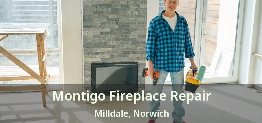 Montigo Fireplace Repair Milldale, Norwich - ON