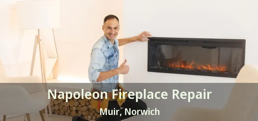 Napoleon Fireplace Repair Muir, Norwich - ON Napoleon Fireplace Repair Muir, Norwich - ON