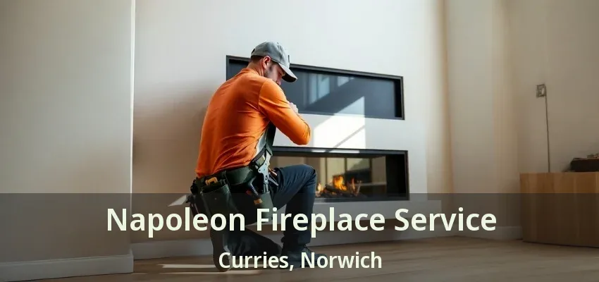 Napoleon Fireplace Service Curries, Norwich - ON Napoleon Fireplace Service Curries, Norwich - ON