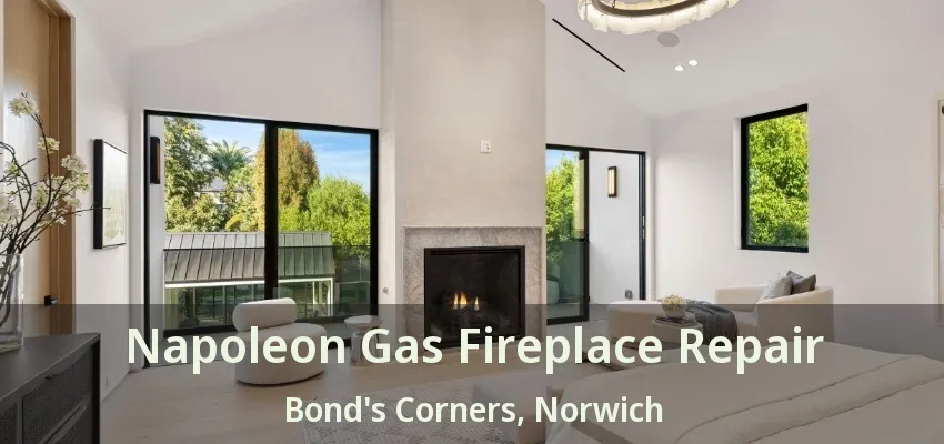 Napoleon Gas Fireplace Repair Bond's Corners, Norwich - ON Napoleon Gas Fireplace Repair Bond's Corners, Norwich - ON