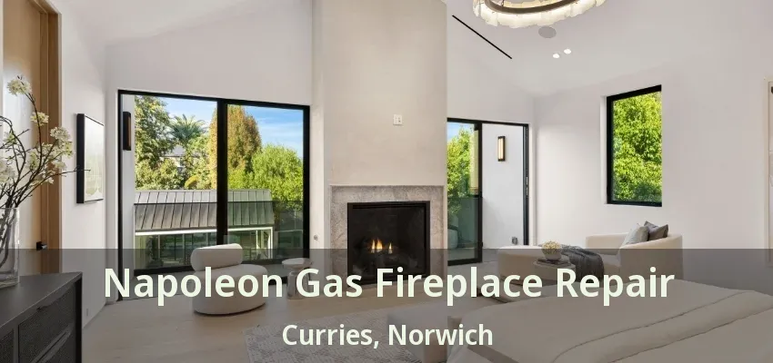 Napoleon Gas Fireplace Repair Curries, Norwich - ON Napoleon Gas Fireplace Repair Curries, Norwich - ON