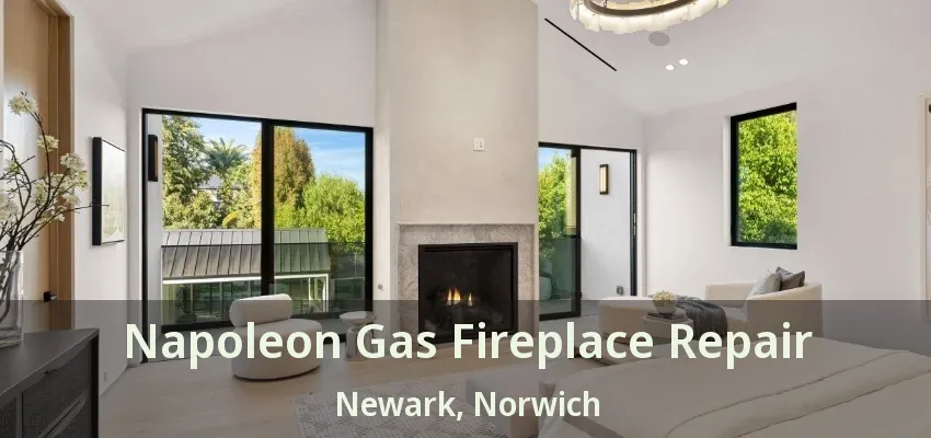 Napoleon Gas Fireplace Repair Newark, Norwich - ON Napoleon Gas Fireplace Repair Newark, Norwich - ON