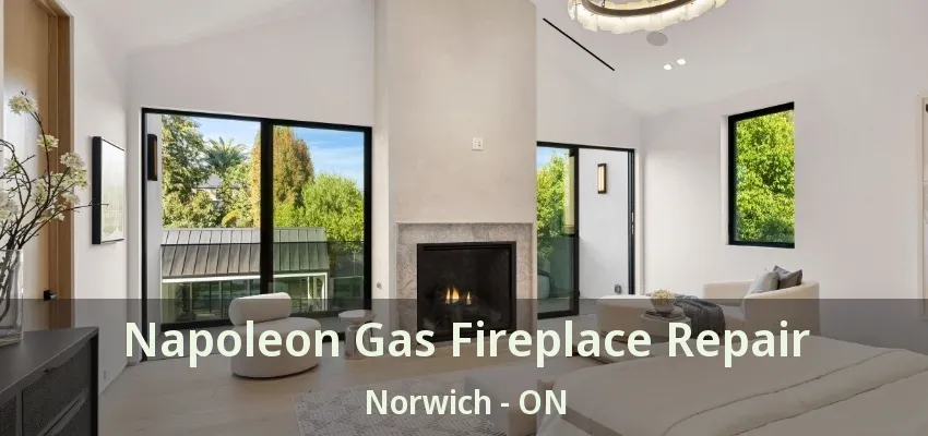 Napoleon Gas Fireplace Repair Norwich - ON Napoleon Gas Fireplace Repair Norwich - ON