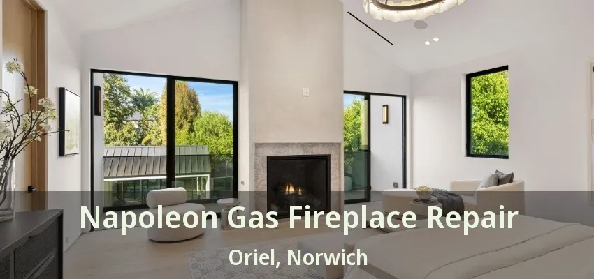 Napoleon Gas Fireplace Repair Oriel, Norwich - ON Napoleon Gas Fireplace Repair Oriel, Norwich - ON