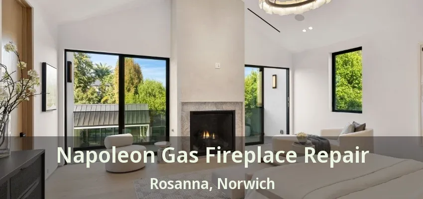 Napoleon Gas Fireplace Repair Rosanna, Norwich - ON Napoleon Gas Fireplace Repair Rosanna, Norwich - ON