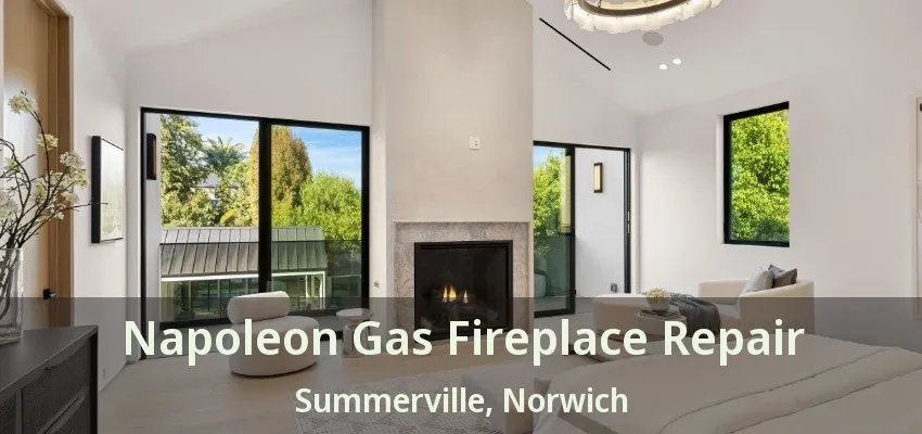 Napoleon Gas Fireplace Repair Summerville, Norwich - ON