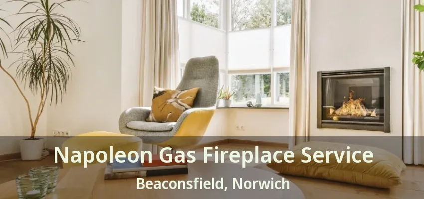 Napoleon Gas Fireplace Service Beaconsfield, Norwich - ON