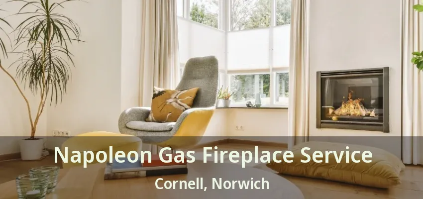 Napoleon Gas Fireplace Service Cornell, Norwich - ON
