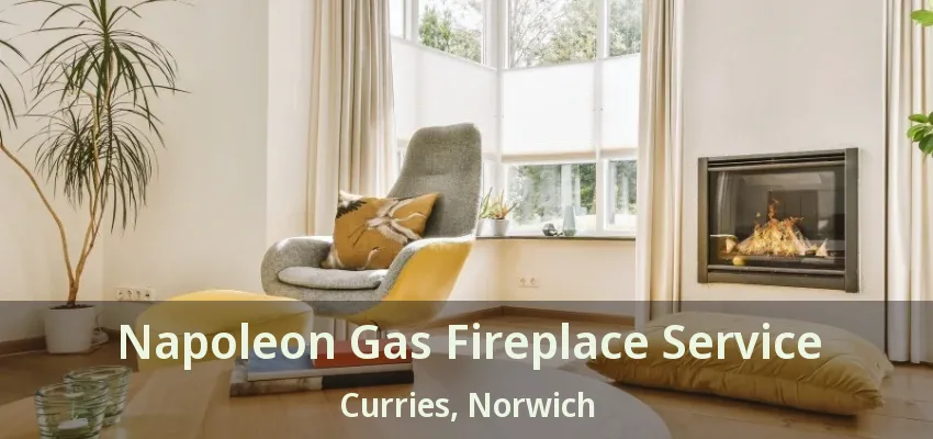 Napoleon Gas Fireplace Service Curries, Norwich - ON Napoleon Gas Fireplace Service Curries, Norwich - ON