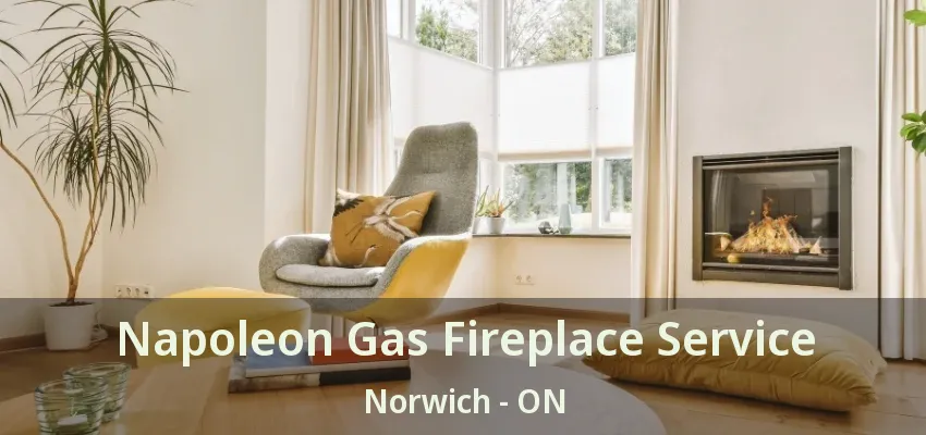 Napoleon Gas Fireplace Service Norwich - ON Napoleon Gas Fireplace Service Norwich - ON