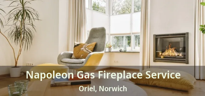 Napoleon Gas Fireplace Service Oriel, Norwich - ON Napoleon Gas Fireplace Service Oriel, Norwich - ON