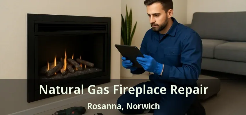 Natural Gas Fireplace Repair Rosanna, Norwich - ON Natural Gas Fireplace Repair Rosanna, Norwich - ON