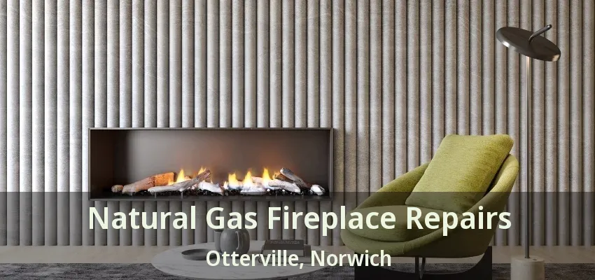Natural Gas Fireplace Repairs Otterville, Norwich - ON