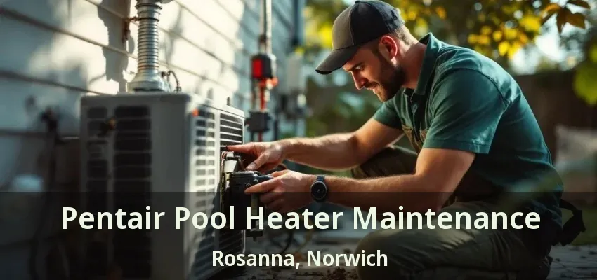 Pentair Pool Heater Maintenance Rosanna, Norwich - ON Pentair Pool Heater Maintenance Rosanna, Norwich - ON