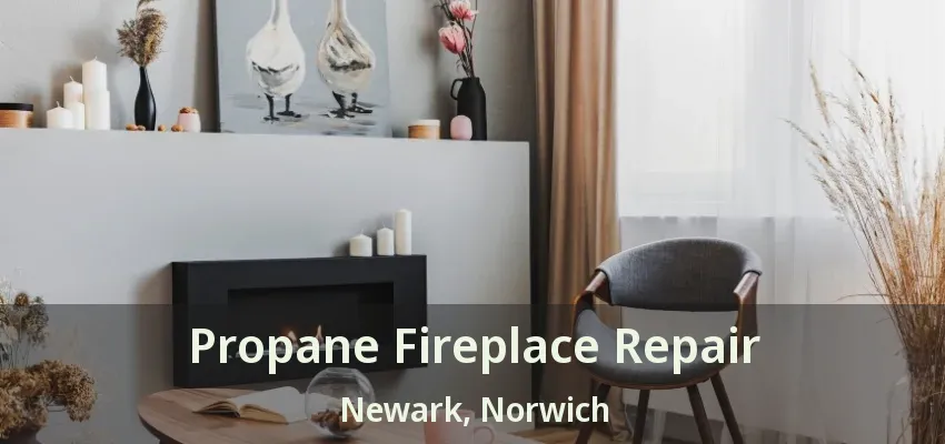 Propane Fireplace Repair Newark, Norwich - ON Propane Fireplace Repair Newark, Norwich - ON