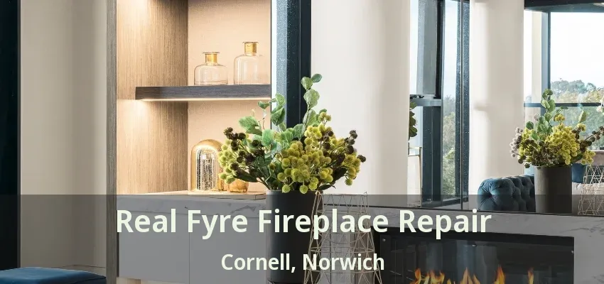 Real Fyre Fireplace Repair Cornell, Norwich - ON