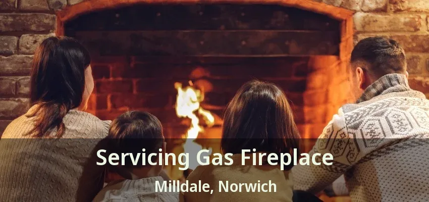 Servicing Gas Fireplace Milldale, Norwich - ON