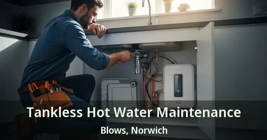 Tankless Hot Water Maintenance Blows, Norwich - ON Tankless Hot Water Maintenance Blows, Norwich - ON