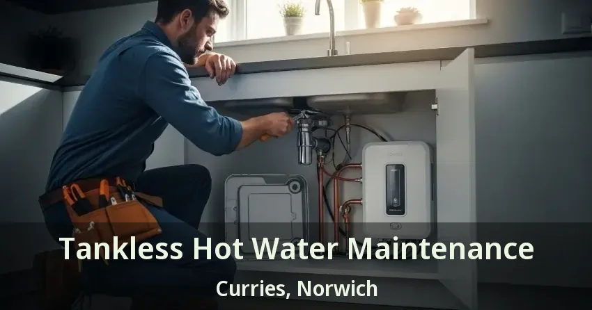 Tankless Hot Water Maintenance Curries, Norwich - ON Tankless Hot Water Maintenance Curries, Norwich - ON