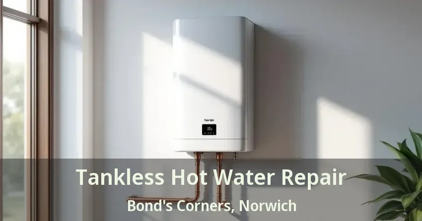Tankless Hot Water Repair Bond's Corners, Norwich - ON Tankless Hot Water Repair Bond's Corners, Norwich - ON