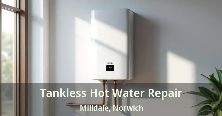 Tankless Hot Water Repair Milldale, Norwich - ON