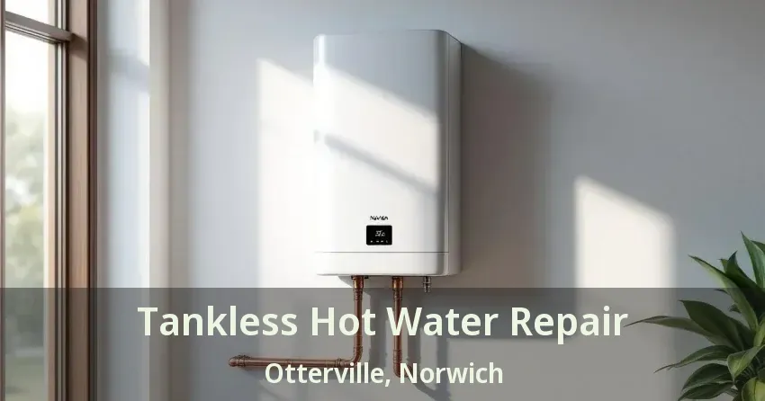 Tankless Hot Water Repair Otterville, Norwich - ON