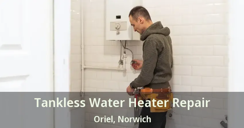 Tankless Water Heater Repair Oriel, Norwich - ON Tankless Water Heater Repair Oriel, Norwich - ON