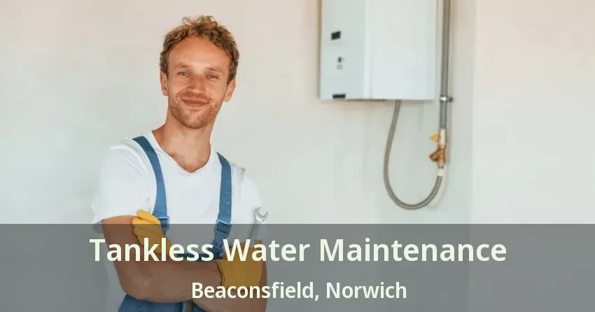 Tankless Water Maintenance Beaconsfield, Norwich - ON