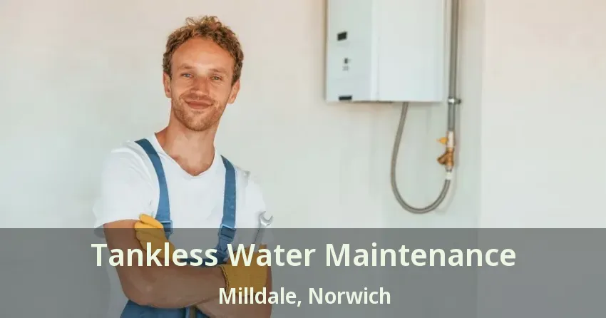Tankless Water Maintenance Milldale, Norwich - ON Tankless Water Maintenance Milldale, Norwich - ON