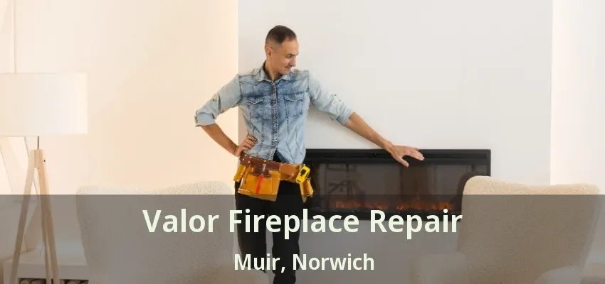 Valor Fireplace Repair Muir, Norwich - ON Valor Fireplace Repair Muir, Norwich - ON